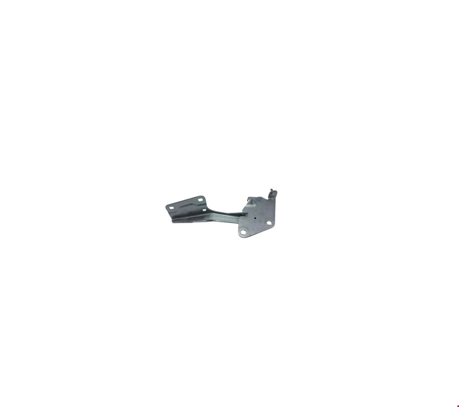 MOTOR KAPUT MENTEŞESİ SAĞ FLUENCE 2010-