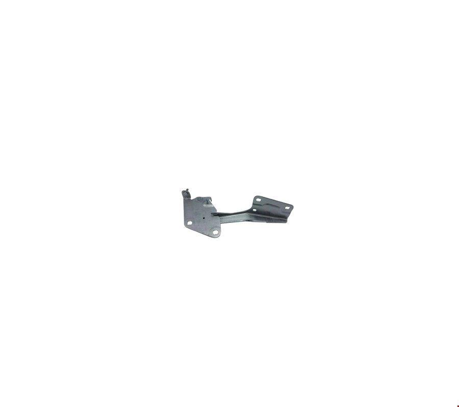 MOTOR KAPUT MENTEŞESİ SOL FLUENCE 2010-